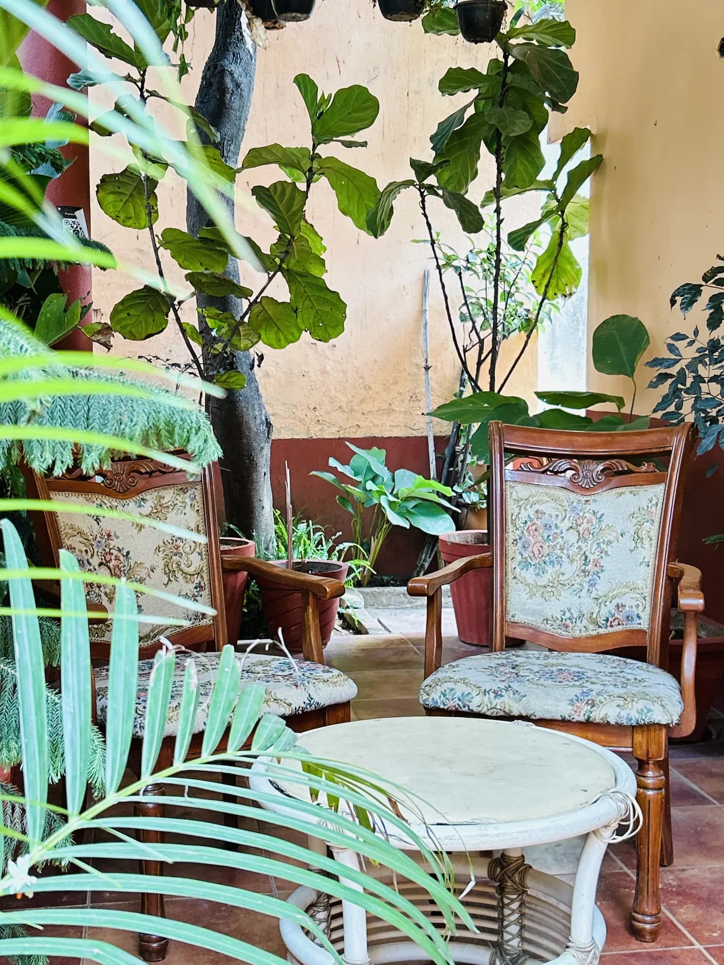 Property photo - Garden