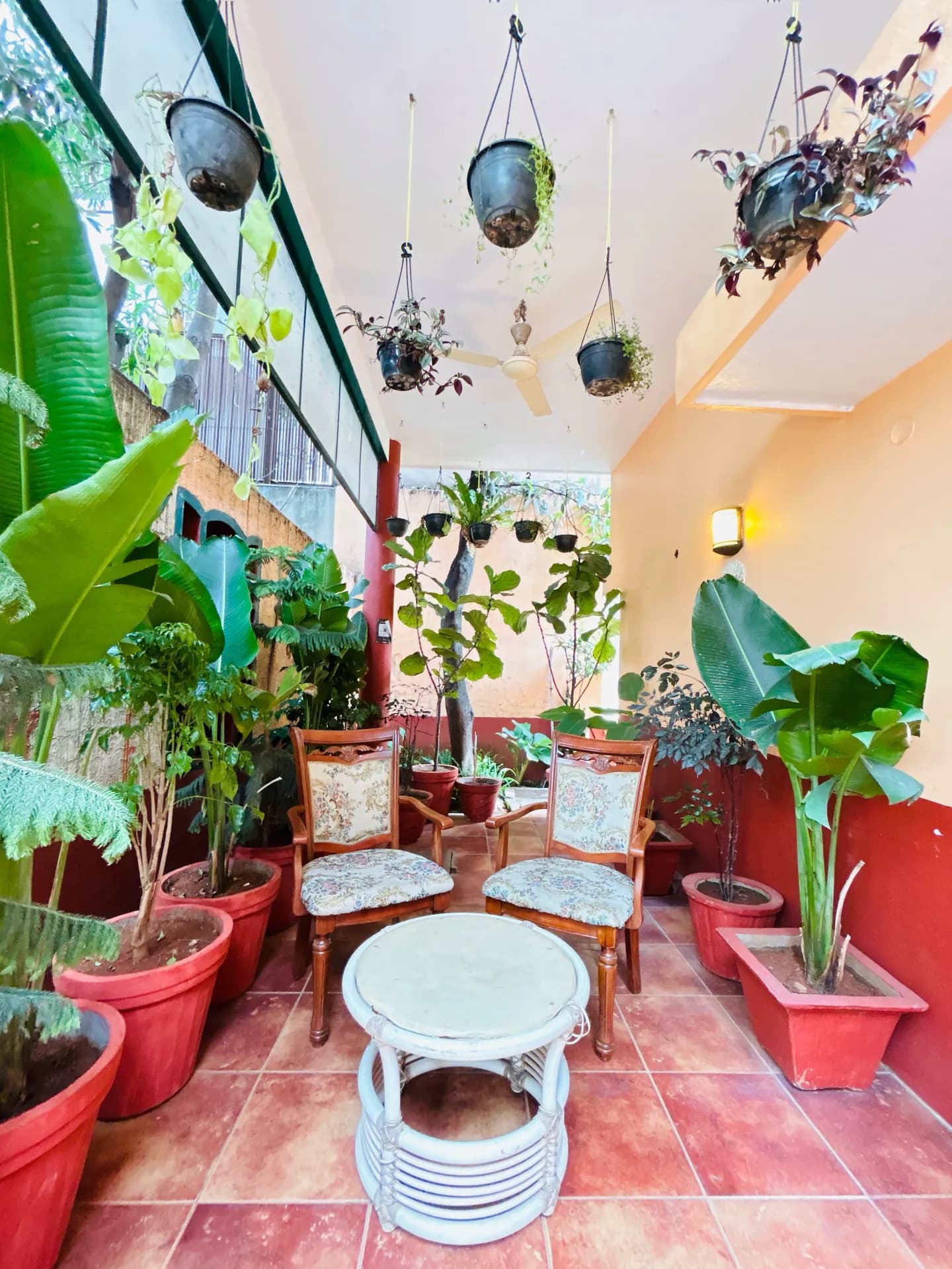 Property photo - Garden