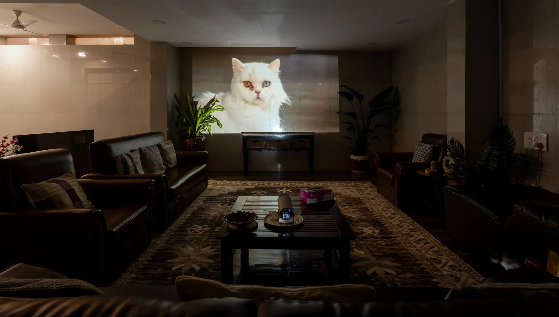 Property photo - Lounge