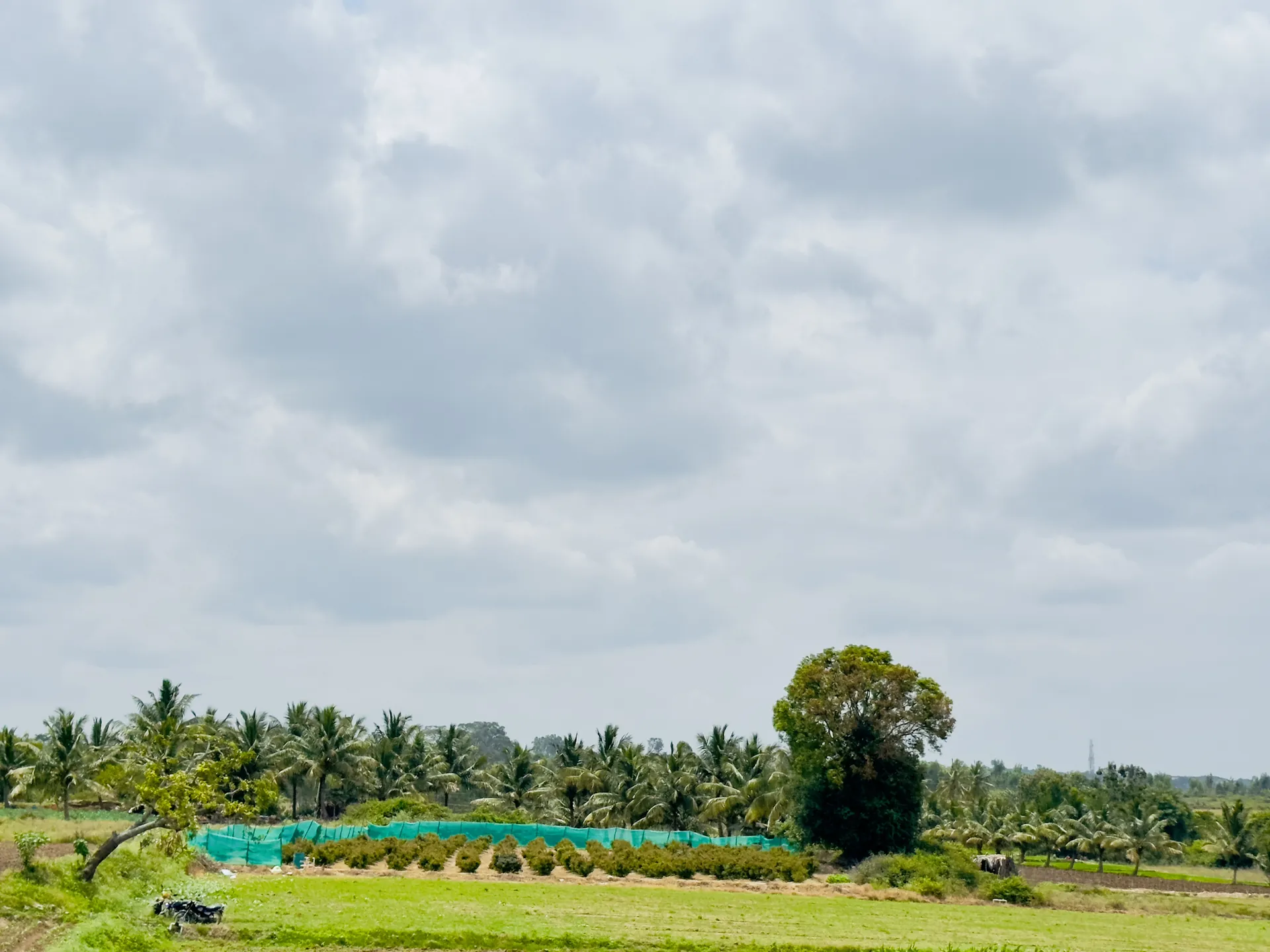 Property photo - Terrace