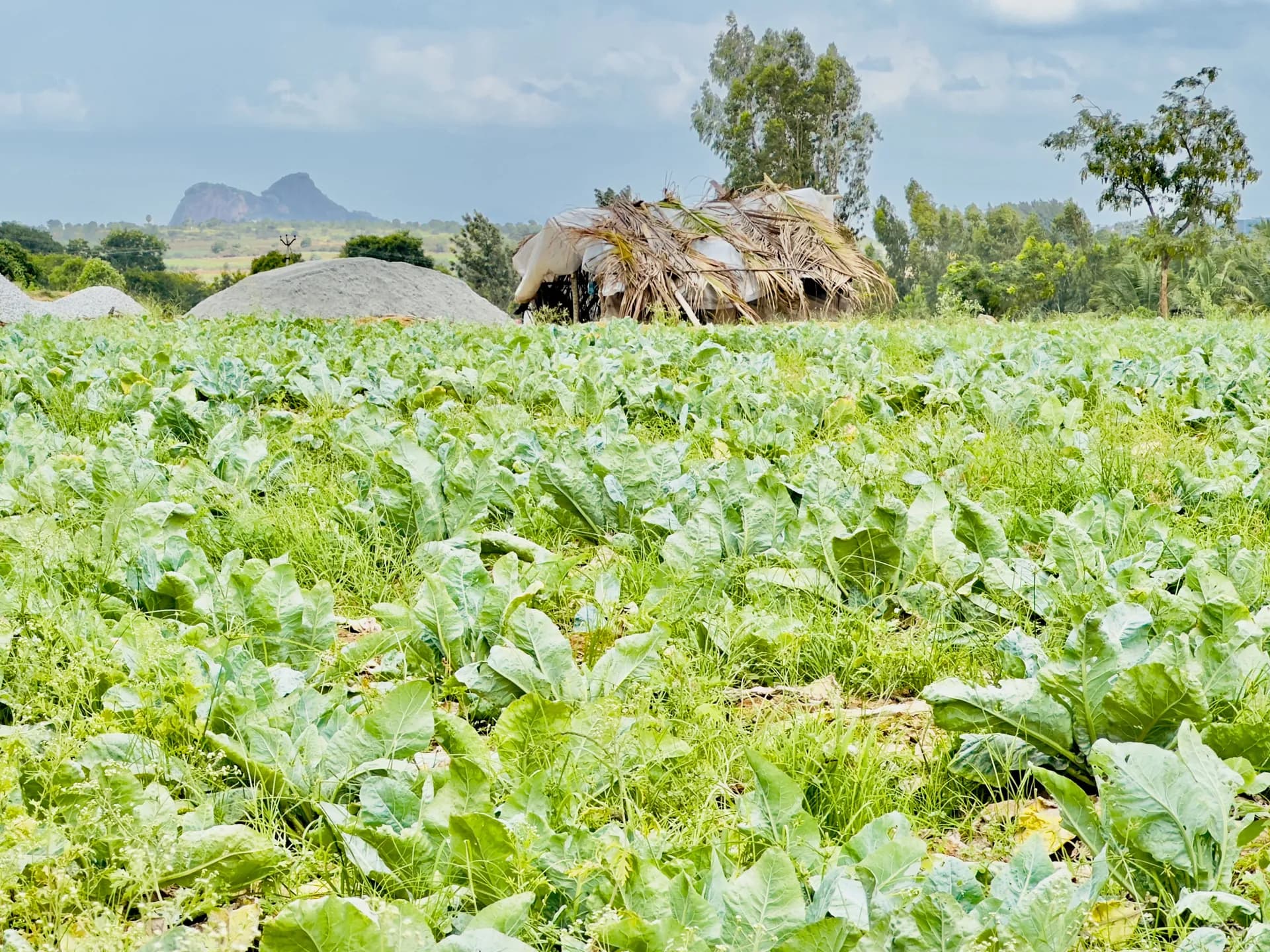 Property photo - Terrace