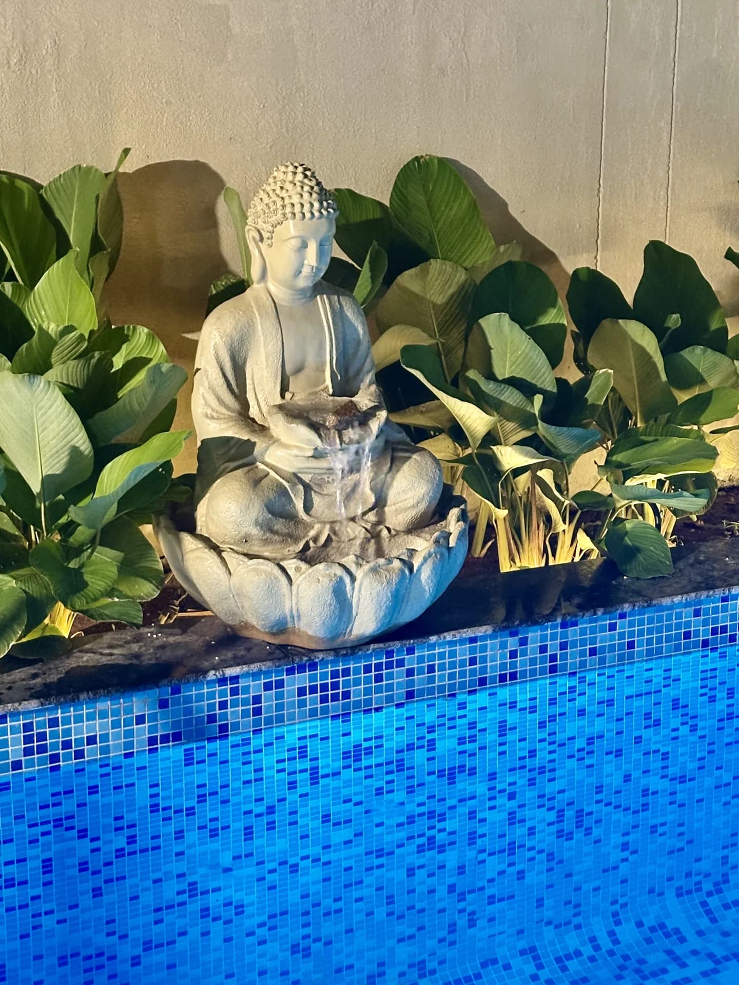 Property photo - Pool