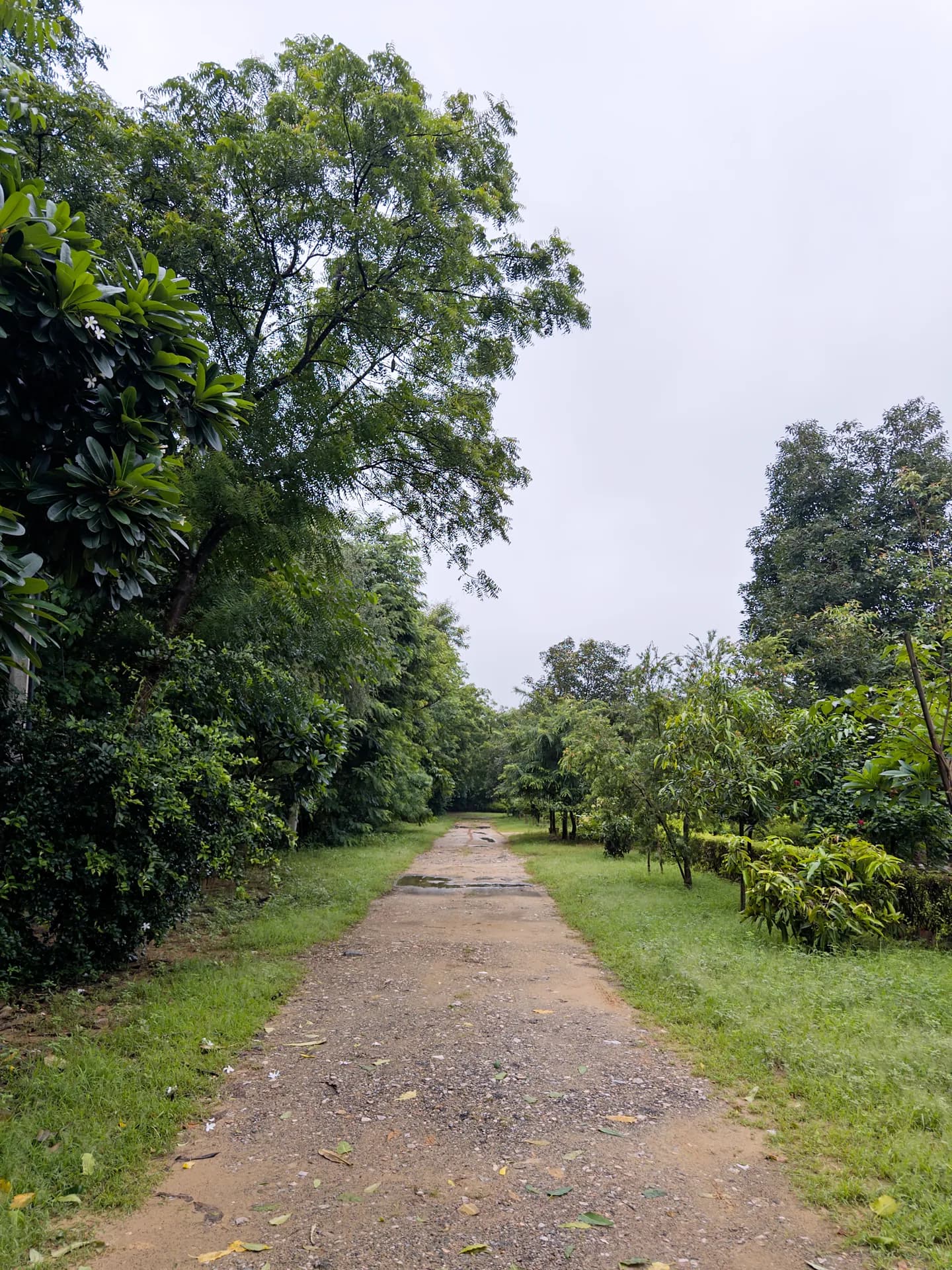 Property photo - Garden