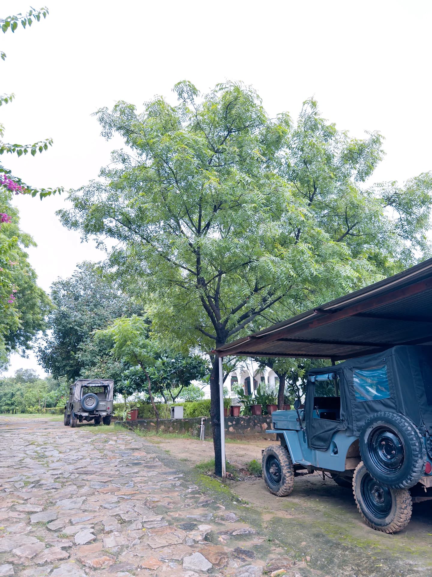Property photo - Entrance and Parking